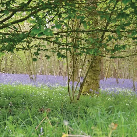 Casa de Férias Amazing In With Kitchen Marconne